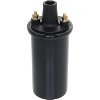 Holstein® - Ignition Coil