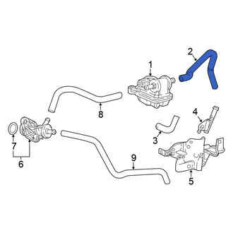 Honda OE - Upper Evaporative Emissions System Lines
