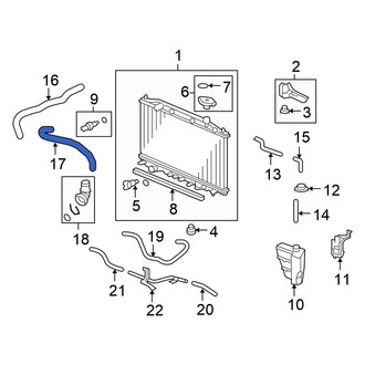 Honda OE - Lower Radiator Coolant Hose