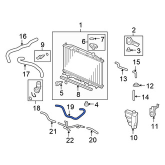 Honda OE - Automatic Transmission Oil Cooler Hose