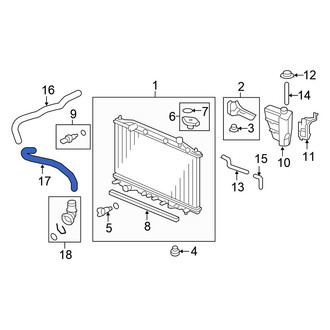 Honda OE - Lower Radiator Coolant Hose