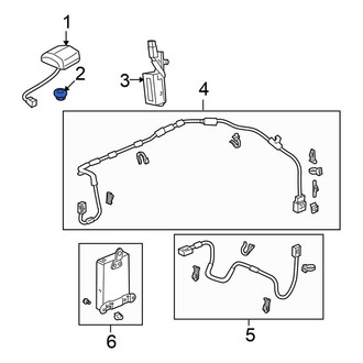 Honda OE - Radio Antenna Base Nut