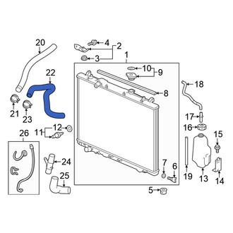 Honda OE - Lower Radiator Coolant Hose
