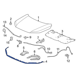 Honda OE - Front Hood Seal