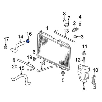 Honda OE - Radiator Hose Clamp