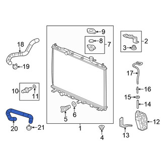 Honda OE - Lower Radiator Coolant Hose