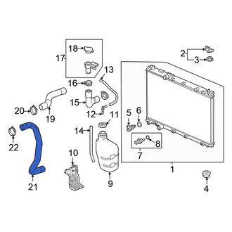 Honda OE - Lower Radiator Coolant Hose
