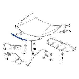 Honda OE - Front Center Hood Seal