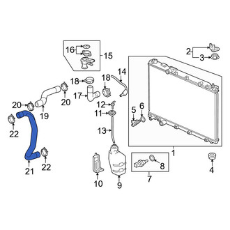 Honda OE - Lower Radiator Coolant Hose