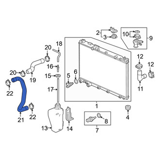 Honda OE - Lower Radiator Coolant Hose