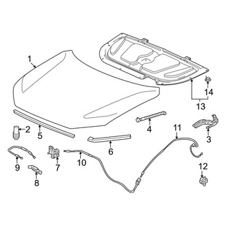Honda OE - Hood & Components