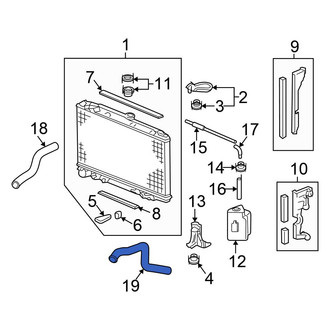 Honda OE - Lower Radiator Coolant Hose