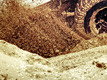 Tougher Than Nails (Or Rocks for That Matter)