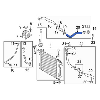 Hyundai OE - Lower Radiator Coolant Hose
