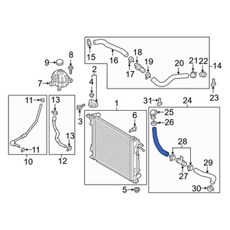 Hyundai OE - Lower Radiator Coolant Hose