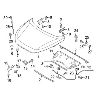 Hyundai OE - Hood & Components (Gas)