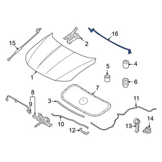 Hyundai OE - Front Forward Hood Seal