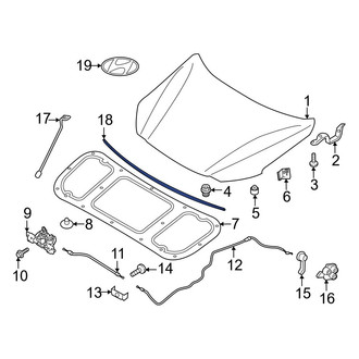 Hyundai OE - Front Hood Seal