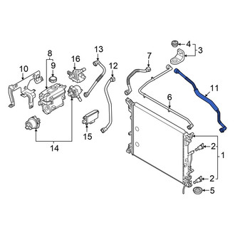 Hyundai OE - Radiator Coolant Hose