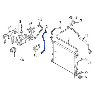 Hyundai OE - Radiator Coolant Hose