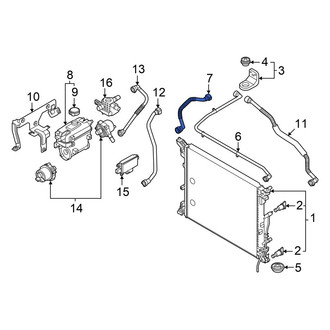 Hyundai OE - Upper Left Radiator Coolant Hose