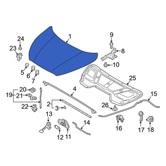 Hyundai OE - Front Hood Panel