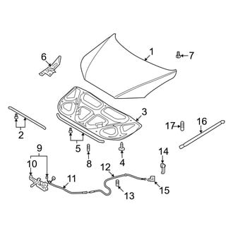 Hyundai OE - Hood & Components