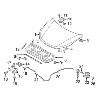 Hyundai OE - Hood & Components