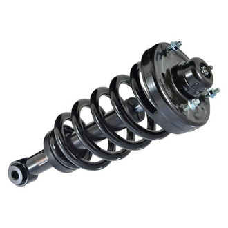 iD Select® - Rear Driver or Passenger Side Twin-Tube Complete Strut Assembly