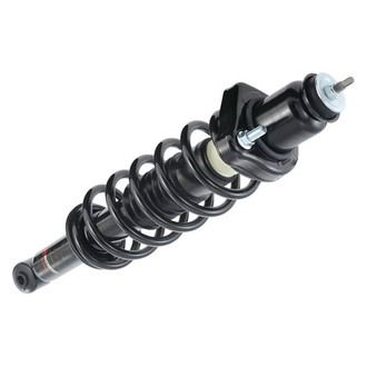 iD Select® - Rear Driver or Passenger Side Twin-Tube Complete Strut Assembly