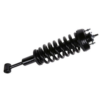 iD Select® - Front Driver or Passenger Side Twin-Tube Complete Strut Assembly