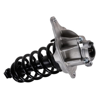 iD Select® - Rear Driver Side Complete Strut Assembly