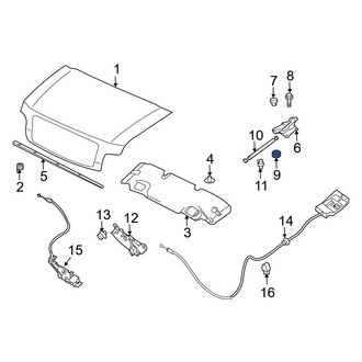Infiniti OE - Hood Hinge Nut