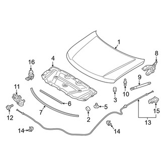 Infiniti OE - Hood & Components