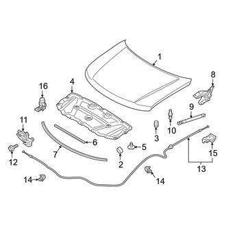 Infiniti OE - Hood & Components