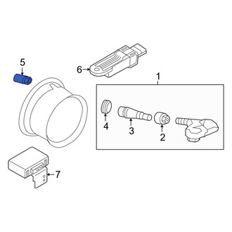Infiniti OE - Tire Pressure Monitoring System (TPMS) Sensor Nut