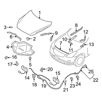 Infiniti OE - Hood & Components