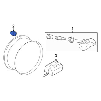 Infiniti OE - Tire Pressure Monitoring System (TPMS) Sensor Nut
