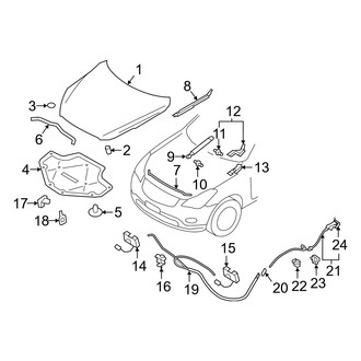 Infiniti OE - Hood & Components