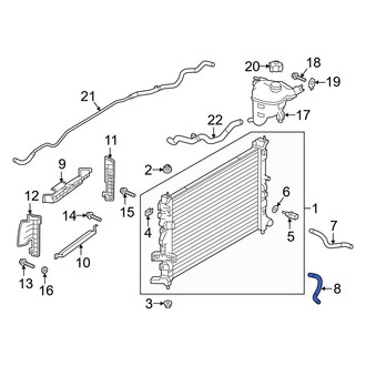 Infiniti OE - Lower Radiator Coolant Hose