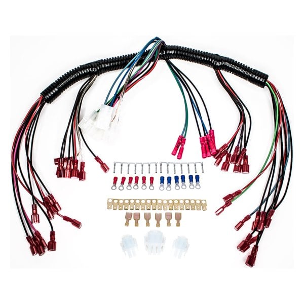 Intellitronix® - 10 Circuit Wire Harness