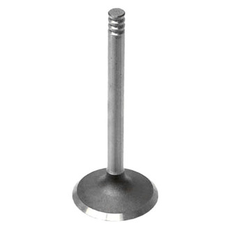 Intervalves® - Intake Valve