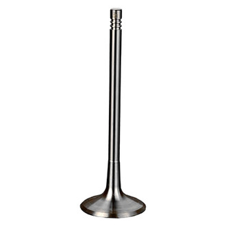 Intervalves® - Intake Valve