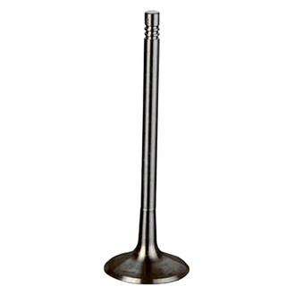 Intervalves® - Intake Valve