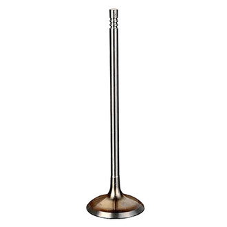Intervalves® - Intake Valve