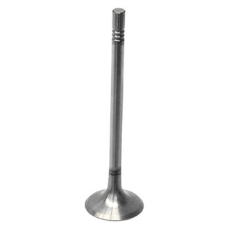 Intervalves® - Intake Valve