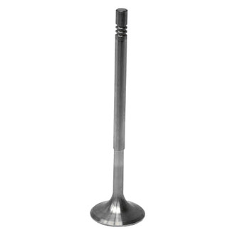 Intervalves® - Intake Valve