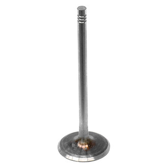 Intervalves® - Intake Valve