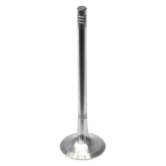 Intervalves® - Exhaust Valve