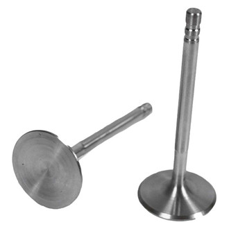 ITM Engine® - Intake Valve